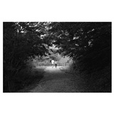 dailyPhoto6